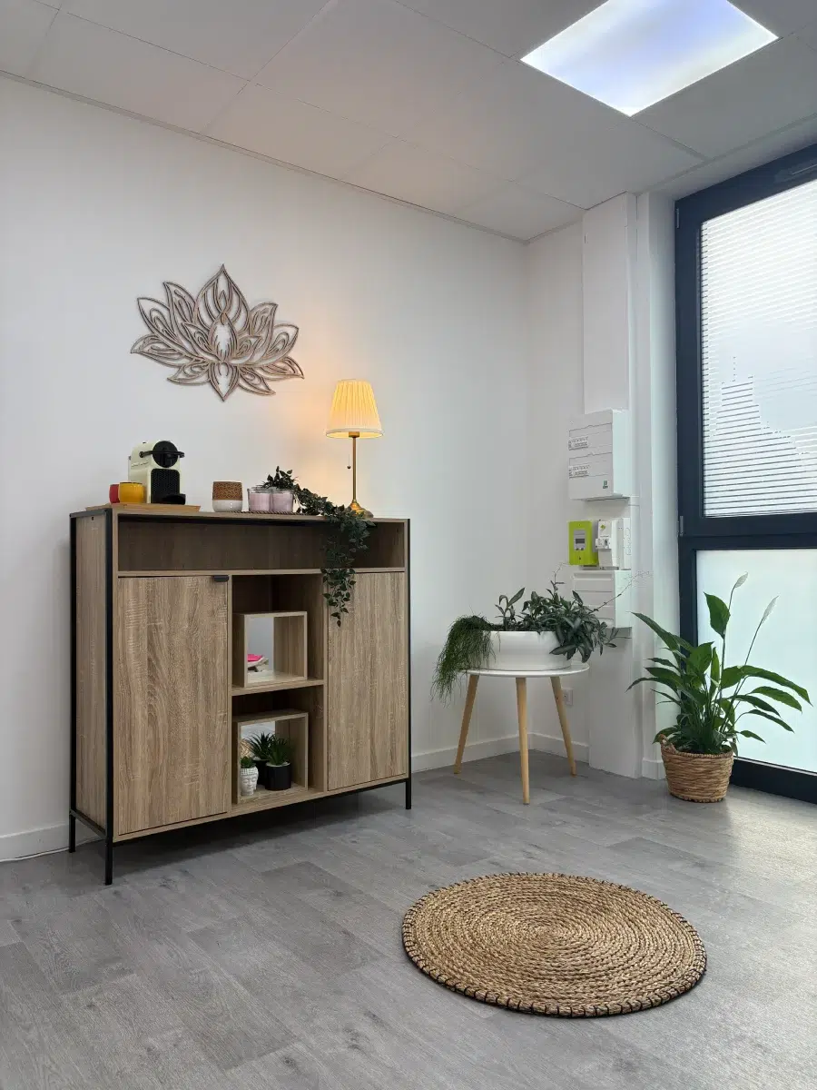 Décoration intérieure moderne Intérieur avec meuble en bois et plantes